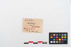 Etikett zu Perlenkette (NHMW-PRAE-024435)